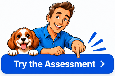 try the assessment